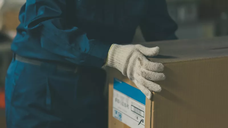 安定の大手企業で働く