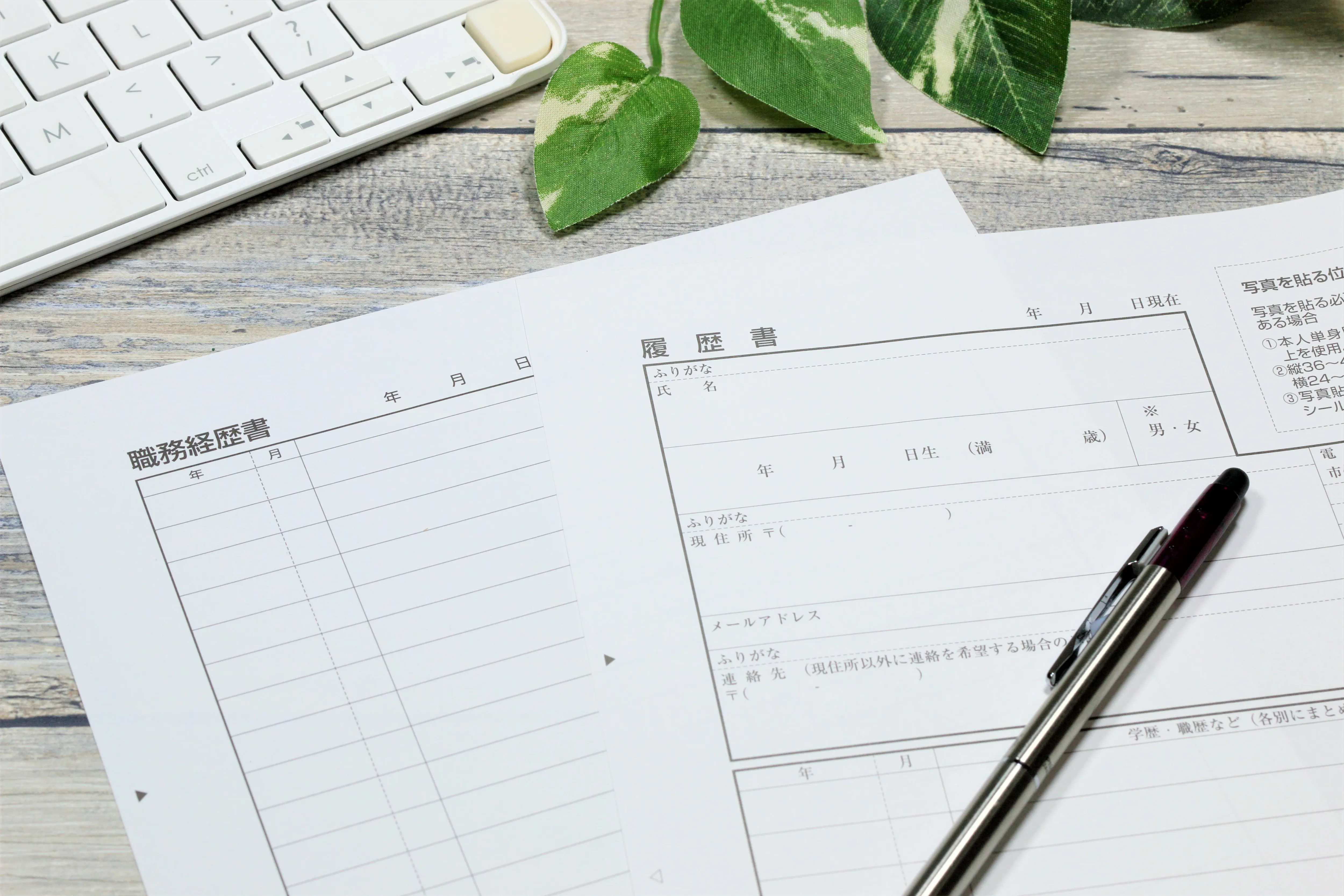 転職準備：履歴書・面接対策