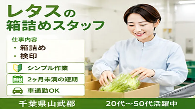 【紹介案件】レタス屋内栽培工場での出荷箱詰め作業/レタスを完全LED水耕栽培している工場でのお仕事です。